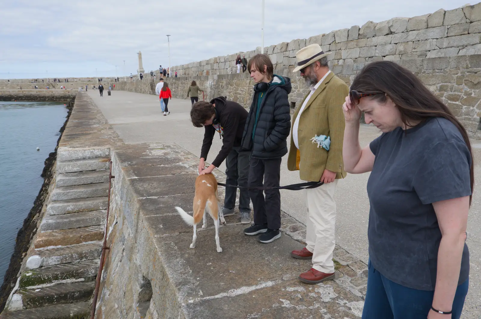 Everyone stares at a jellyfish for a bit, from The Ukulele Hooley, People's Park, Dún Laoghaire, Ireland - 22nd August 2026