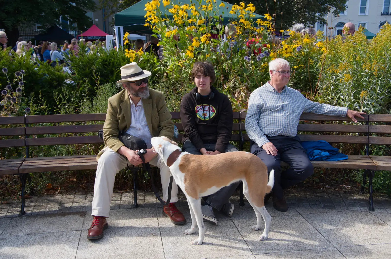 Noddy and Fred on a park bench, from The Ukulele Hooley, People's Park, Dún Laoghaire, Ireland - 22nd August 2026