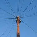 Wires explode from a telegraph pole, The Ukulele Hooley, People's Park, Dún Laoghaire, Ireland - 22nd August 2026