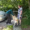 Harry interacts with Philly's dog, Clogherrevagh and Strandhill, Leitrim, Ireland - 24th August 2026