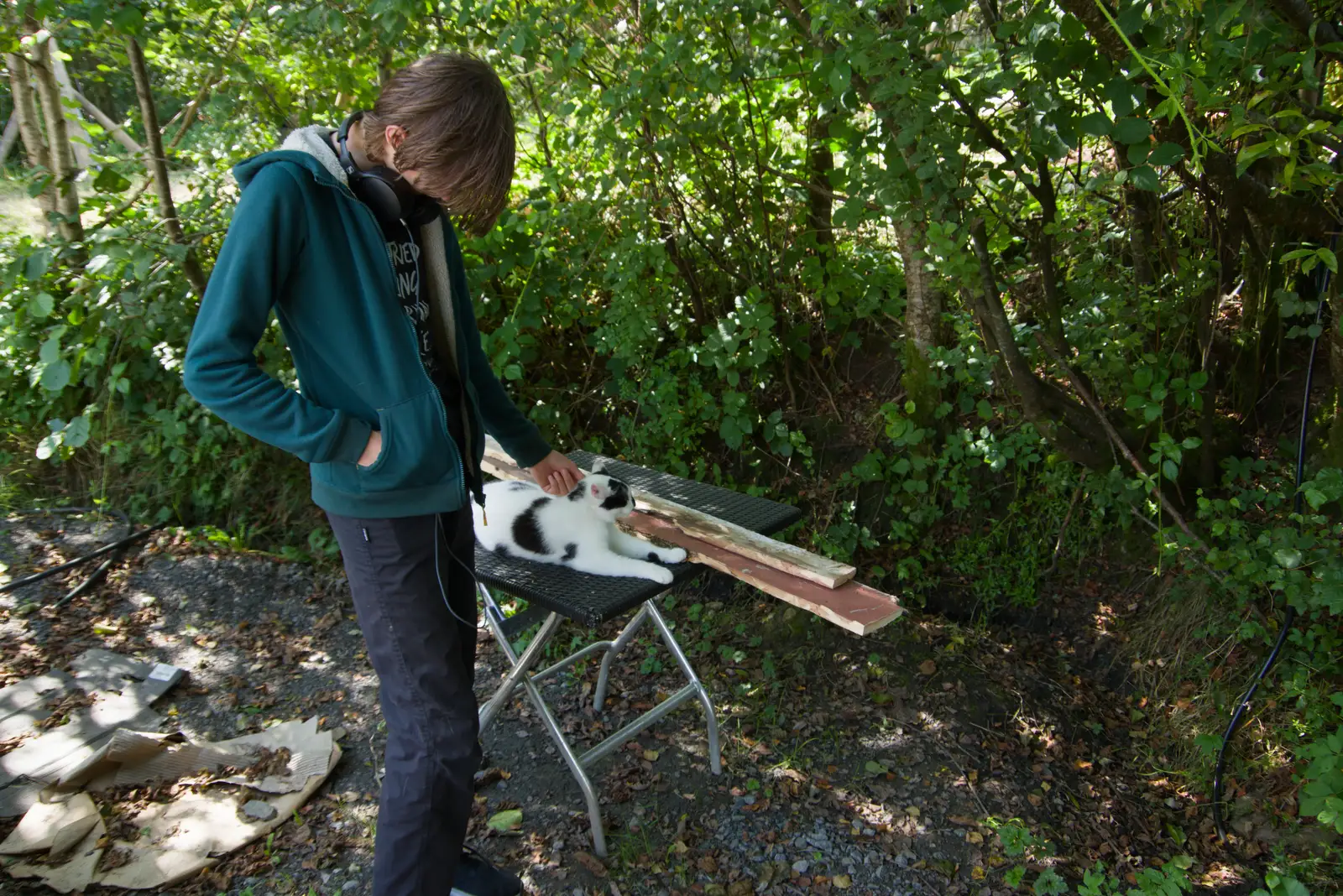 Harry gives the cat a stroke, from Clogherrevagh and Strandhill, Leitrim, Ireland - 24th August 2026