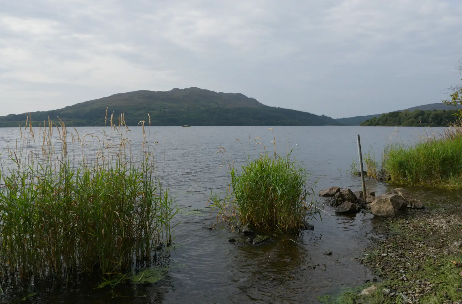 We're at Lough Gill the following morning, from Clogherrevagh and Strandhill, Leitrim, Ireland - 24th August 2026