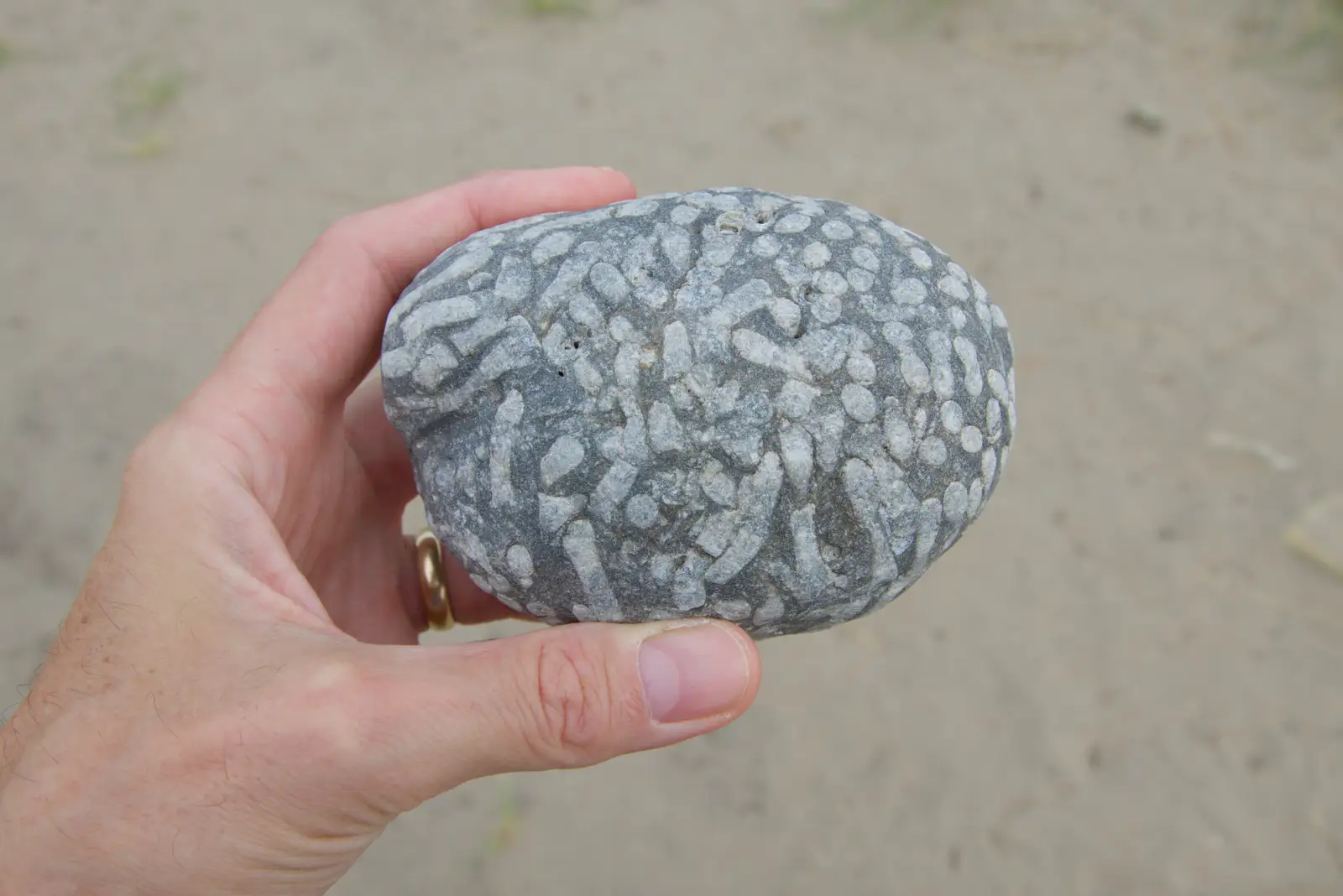 There's an interesting rock on the beach, from Clogherrevagh and Strandhill, Leitrim, Ireland - 24th August 2026