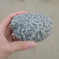There's an interesting rock on the beach, Clogherrevagh and Strandhill, Leitrim, Ireland - 24th August 2026