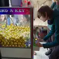 Harry helps out by getting a golden ball, Clogherrevagh and Strandhill, Leitrim, Ireland - 24th August 2026