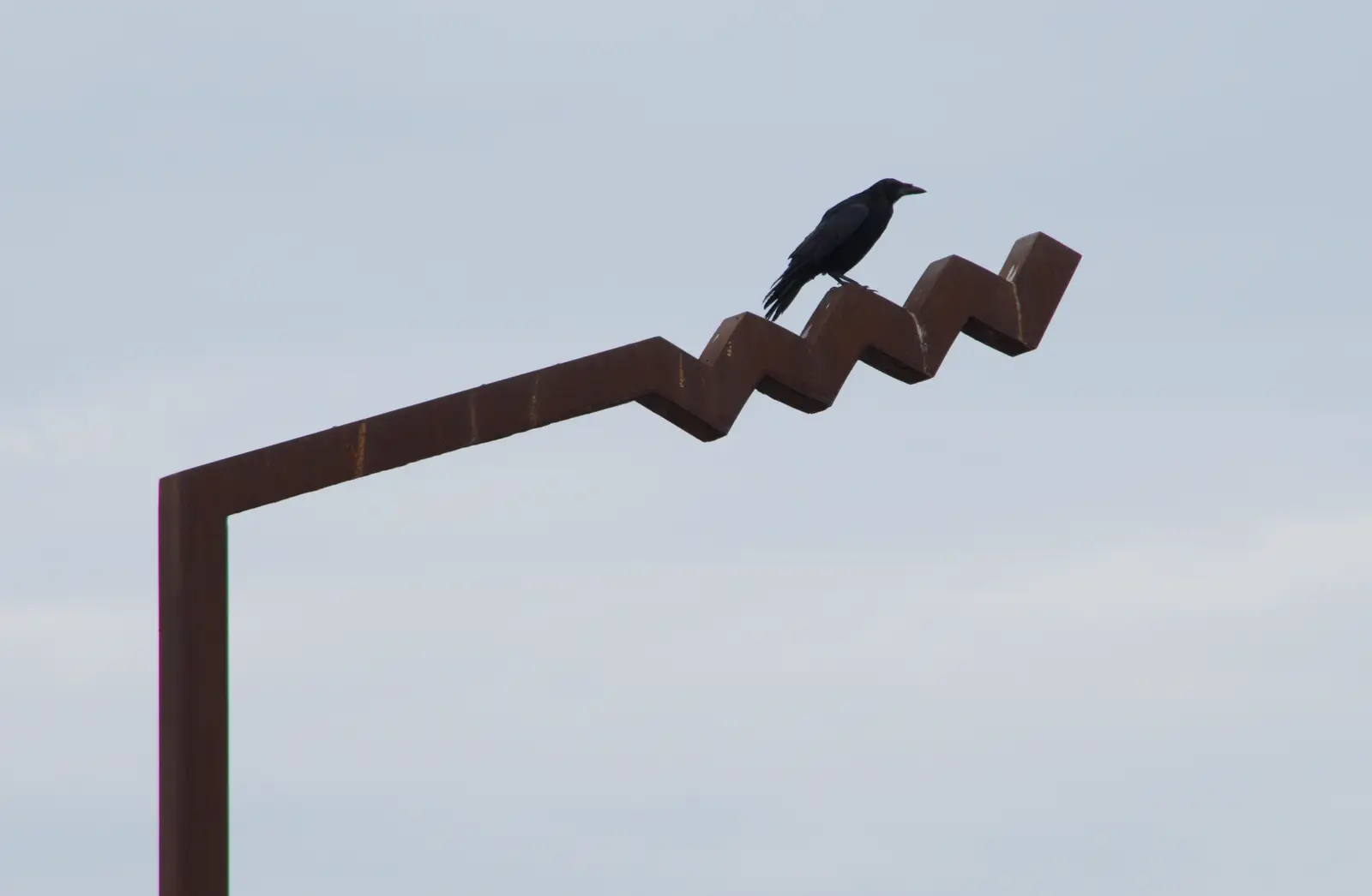 A bird on the Wild Atlantic Way sign, from Clogherrevagh and Strandhill, Leitrim, Ireland - 24th August 2026