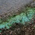 There's a ring of luminous scum around the lake, Manorhamilton, Sligo and Streedagh Beach, Leitrim, Ireland - 26th August 2026