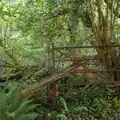 A gate in the woods, Manorhamilton, Sligo and Streedagh Beach, Leitrim, Ireland - 26th August 2026