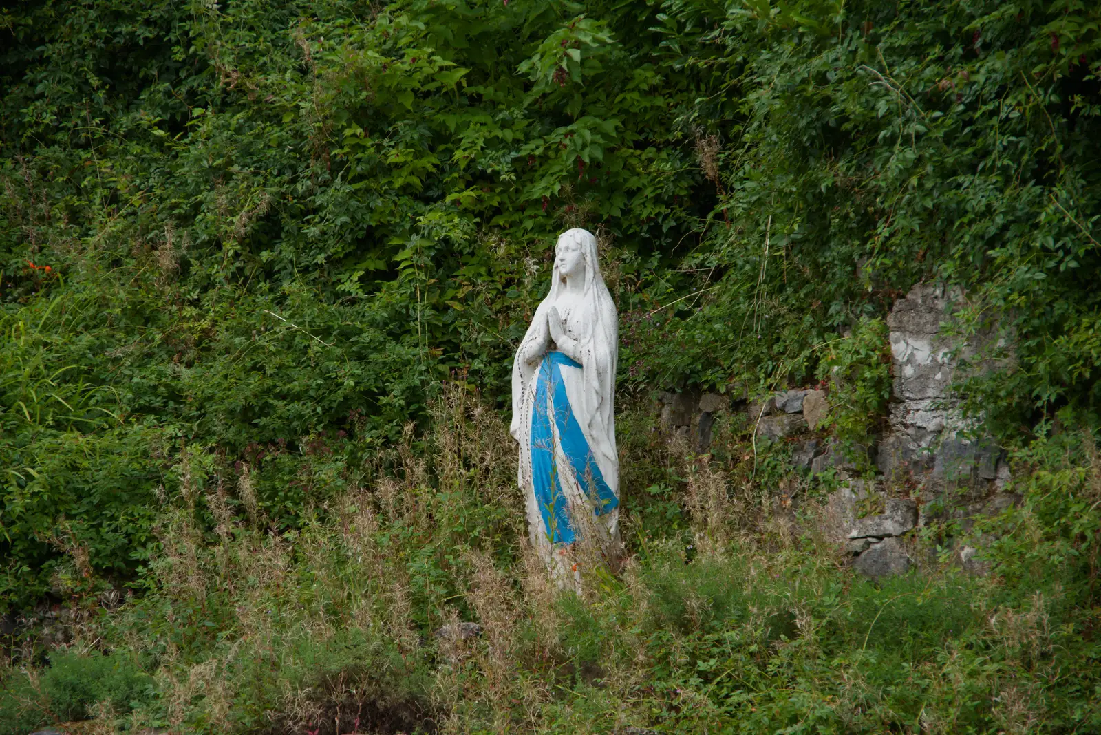 There's a Scary Mary in the undergrowth, from Manorhamilton, Sligo and Streedagh Beach, Leitrim, Ireland - 26th August 2026