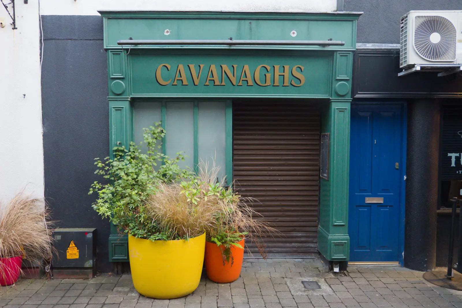 An unrelated Cavanaghs with giant pot plants, from Manorhamilton, Sligo and Streedagh Beach, Leitrim, Ireland - 26th August 2026