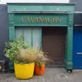 An unrelated Cavanaghs with giant pot plants, Manorhamilton, Sligo and Streedagh Beach, Leitrim, Ireland - 26th August 2026