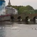 Swans near the Markievicz Bridge in Sligo, Manorhamilton, Sligo and Streedagh Beach, Leitrim, Ireland - 26th August 2026