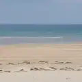 James and Isobel are dots in the sea, Manorhamilton, Sligo and Streedagh Beach, Leitrim, Ireland - 26th August 2026