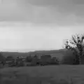 A lonely tree, Castle Dargan Golf, Glangelvin and Pizza in Dún Laoghaire, Ireland - 28th August 2026