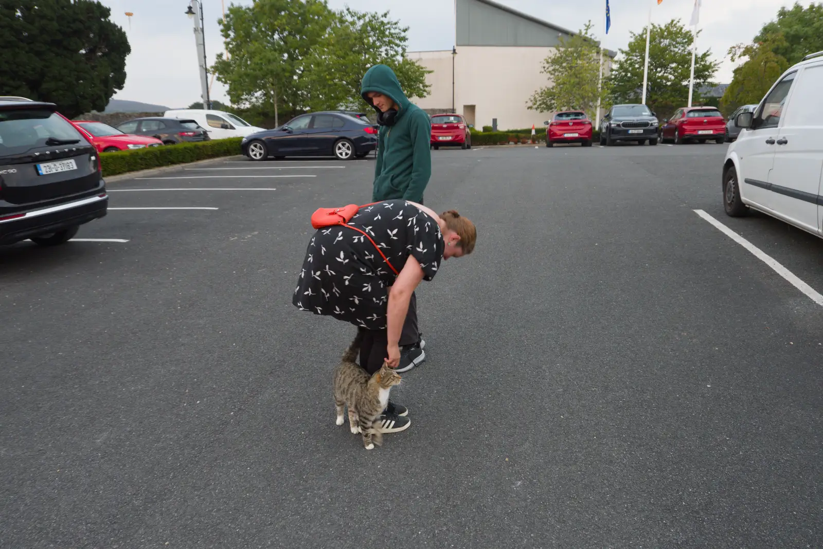 Isobel meets cat in the car park, from Castle Dargan Golf, Glangelvin and Pizza in Dún Laoghaire, Ireland - 28th August 2026