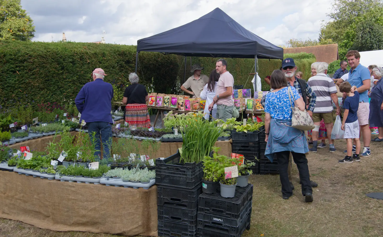 A plant sale occurs near the village hall, from The GSB at Walsham and the Little Blues Band in Mellis, Suffolk - 31st August 2026