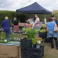 A plant sale occurs near the village hall, The GSB at Walsham and the Little Blues Band in Mellis, Suffolk - 31st August 2026