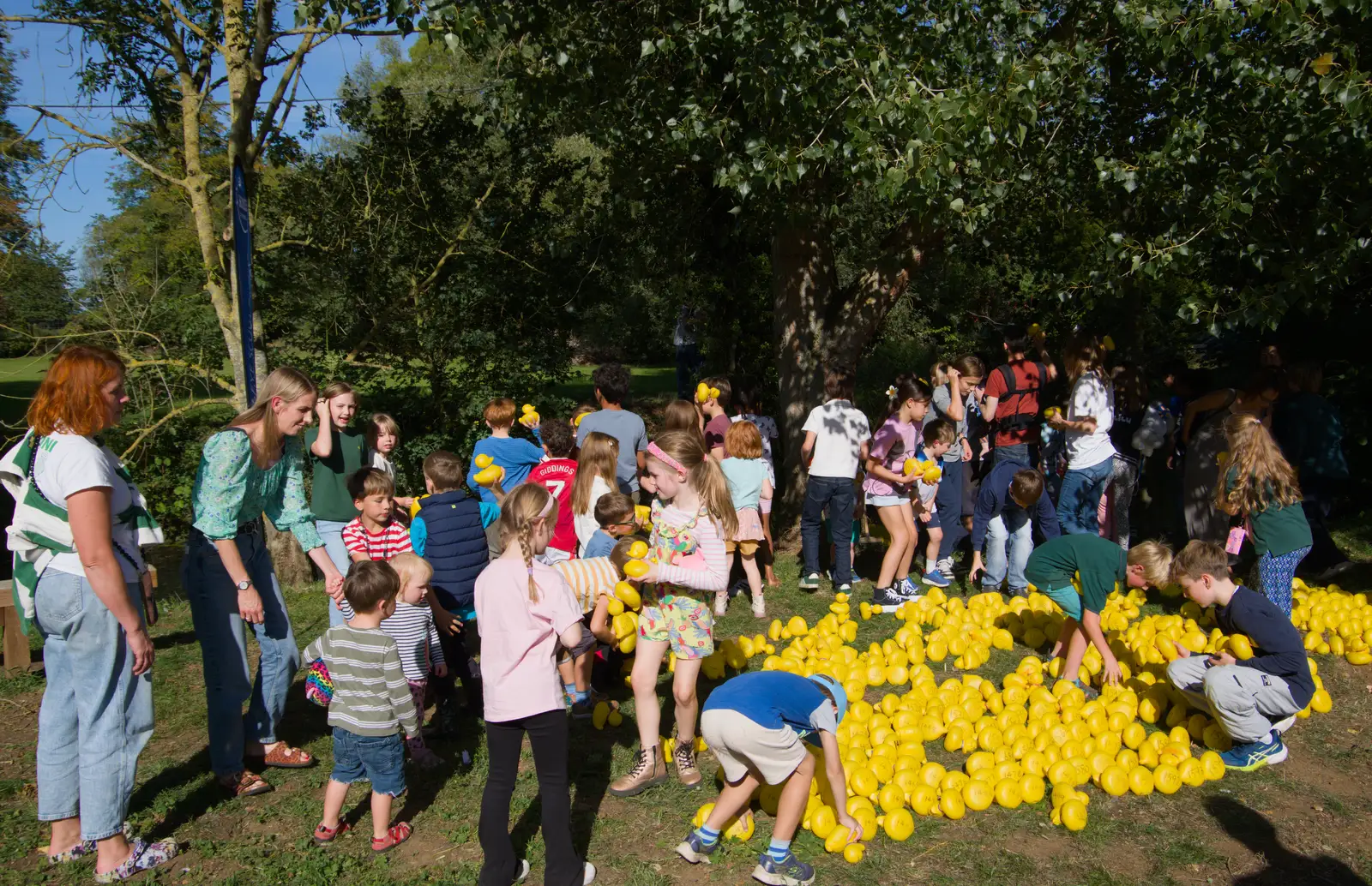 It becomes something of a duck frenzy, from A GSB Duck Race and a House Party, Brome - 26th September 2026