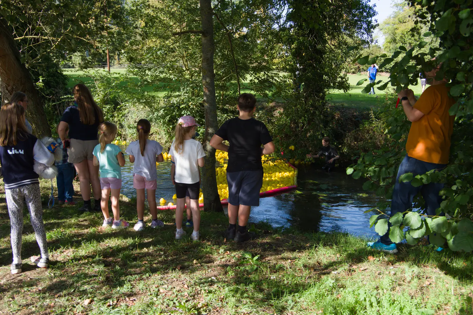 The ducks are all in the river, ready to go, from A GSB Duck Race and a House Party, Brome - 26th September 2026