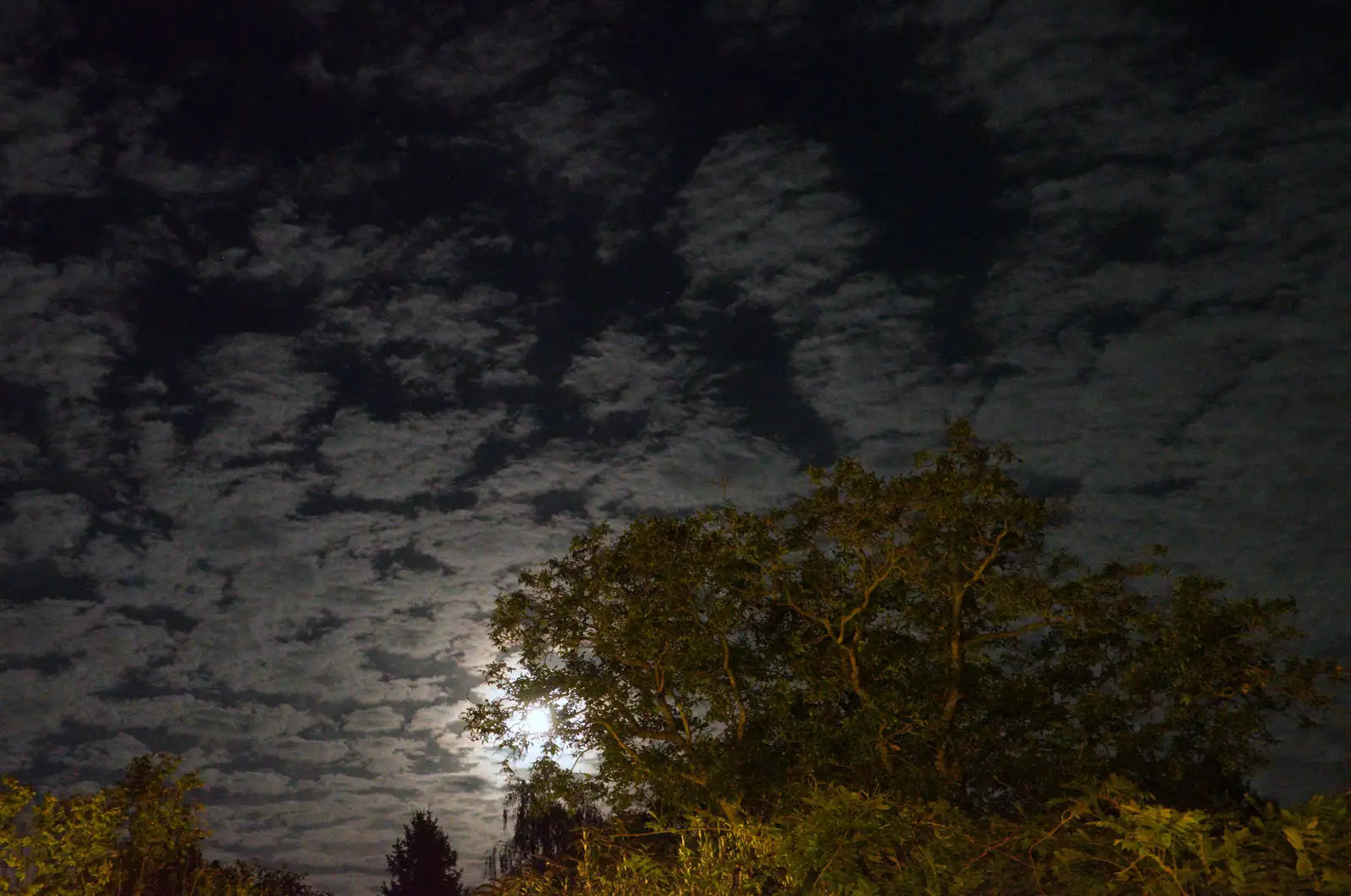 There's a cool moonlit sky over the garden, from A GSB Duck Race and a House Party, Brome - 26th September 2026