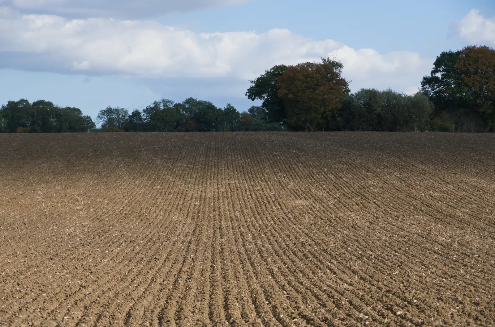 A field striped like corduroy trousers, from A Walk Around The Lion Pub, Debenham, Suffolk - 4th October 2026