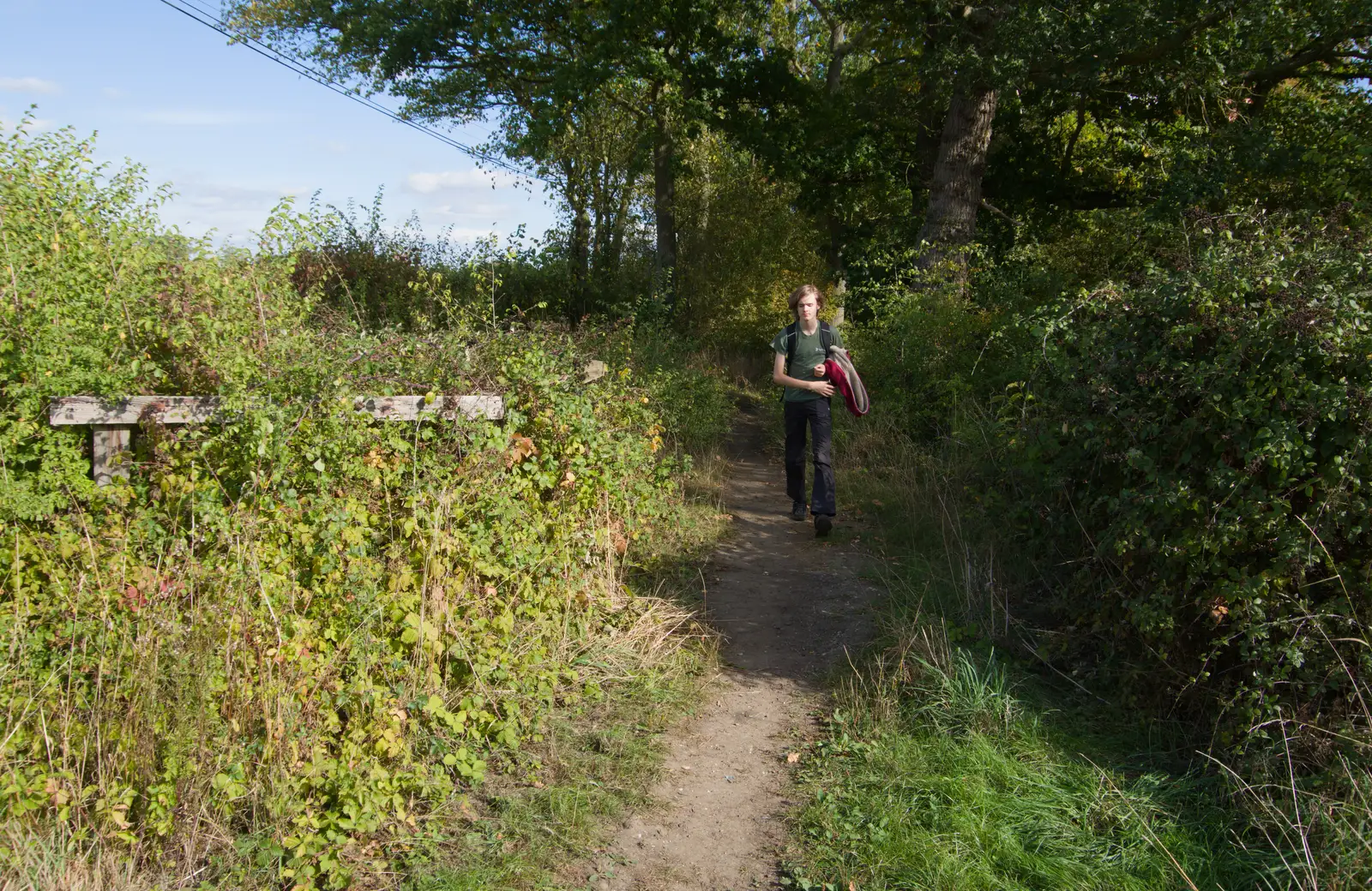 Harry emerges from a hedge, from A Walk Around The Lion Pub, Debenham, Suffolk - 4th October 2026