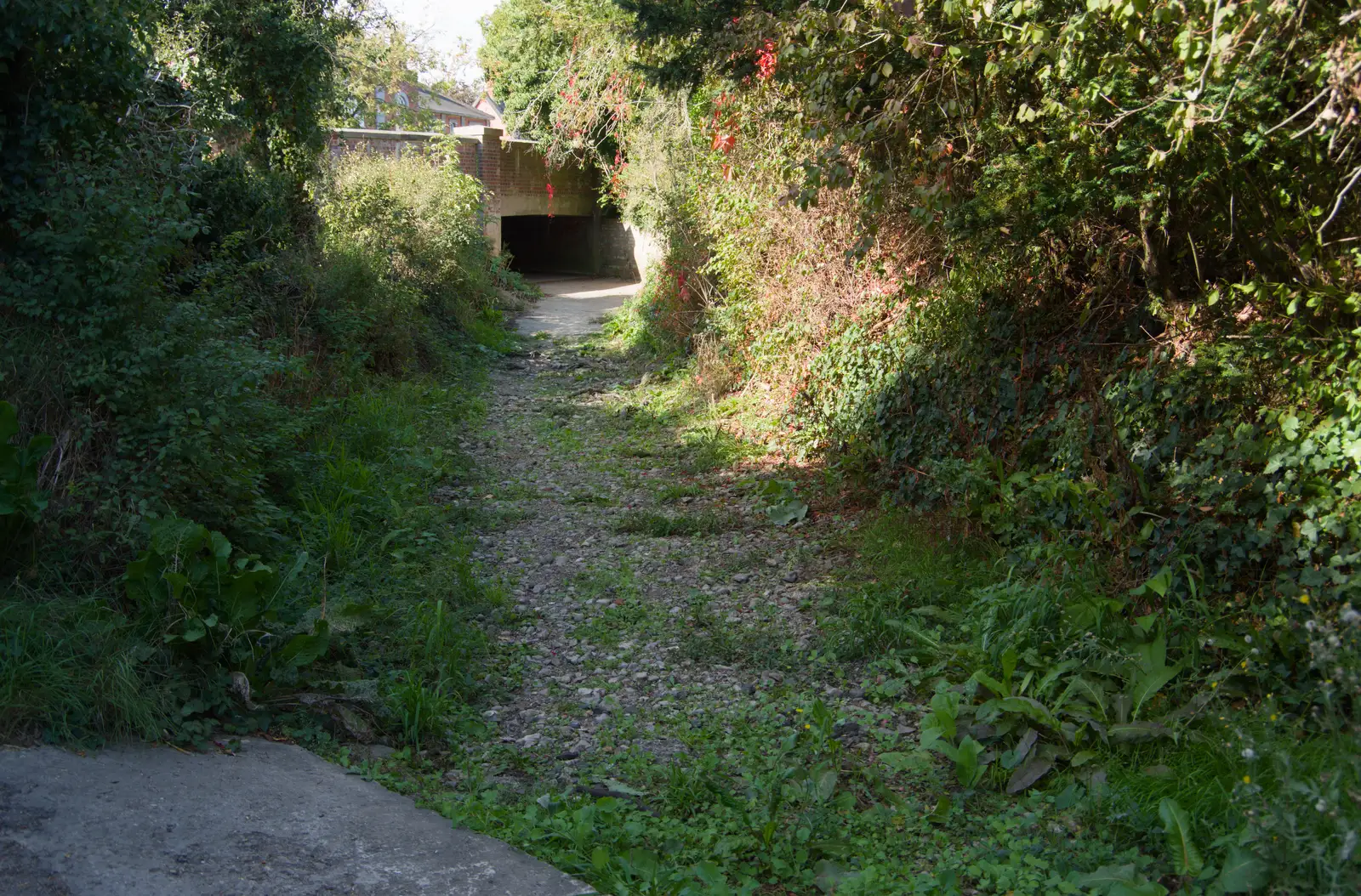 Further up, the Deben is still bone dry, from A Walk Around The Lion Pub, Debenham, Suffolk - 4th October 2026