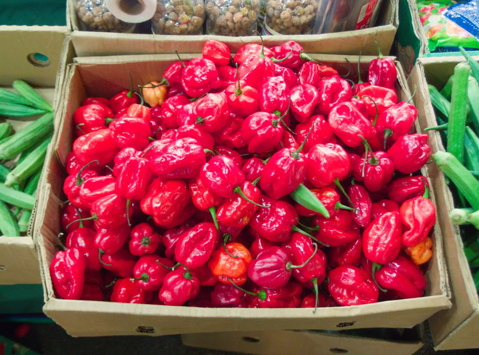 Some very impressive Scotch Bonnet chilli peppers, from A Visit to the Conservatoire, Leeds, West Yorkshire - 17th October 2026